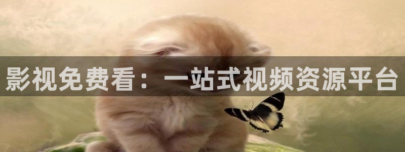 51视频达人秀：影视免费看：一站式视频资源平台