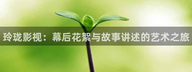 51视频在线下载：玲珑影视：幕后花絮与故事讲述的艺术之旅