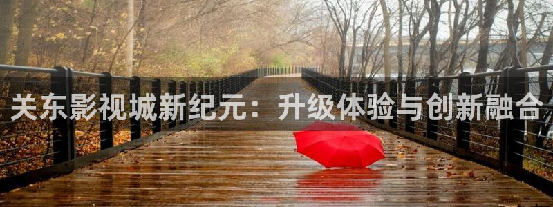 51视频精品的播放功能：关东影视城新纪元：升级体验与创新融合