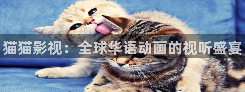51视频网在线观看：猫猫影视：全球华语动画的视听盛宴