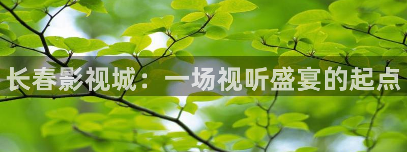 51视频网在线观看：长春影视城：一场视听盛宴的起点