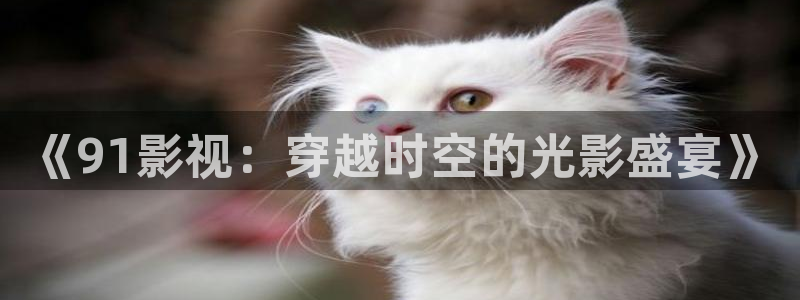 国内51视频：《91影视：穿越时空的光影盛宴》