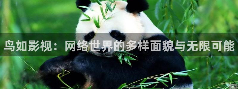 51视频123区：鸟如影视：网络世界的多样面貌与无限可能