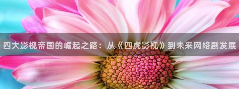 51视频在线观看免费：四大影视帝国的崛起之路：从《四虎影视》到未来网络剧发展