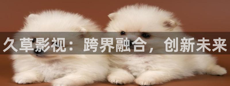 免费51视频：久草影视：跨界融合，创新未来