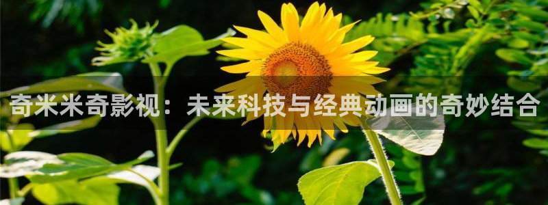 51视频免费观看网站：奇米米奇影视：未来科技与经典动画的奇妙结合